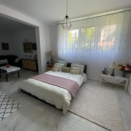 Mechnice Kolo Opola *